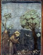 GIOTTO di Bondone Sermon to the Birds painting